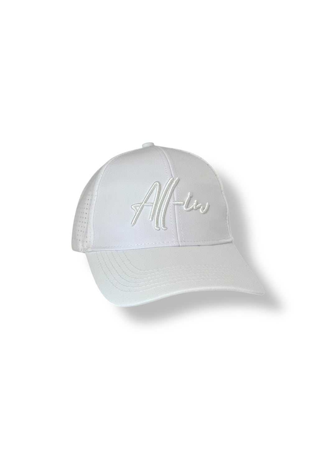 All-in Puff Embroidery Mesh Hat